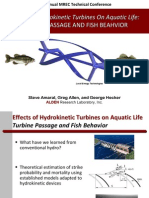 Effects of Hydrokinetic Turbines