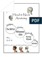 the anatomy fourth lec..pdf