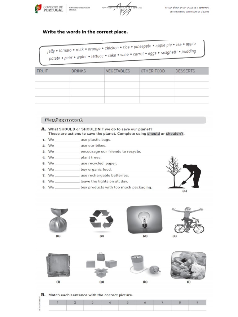 Word Placement Exercise Guide | PDF