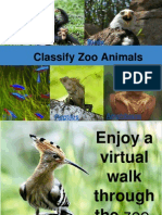 Classify Zoo Animals: Mammals Birds