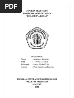 Download LAPORAN BIOTEK ISOLASI DNA KASAR AMINAdocx by Aminatus Sholikah SN127057239 doc pdf
