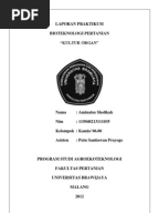 Resume Jurnal Tentang Sejarah Usaha Tani