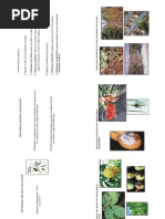 sintomas e sinais.pdf