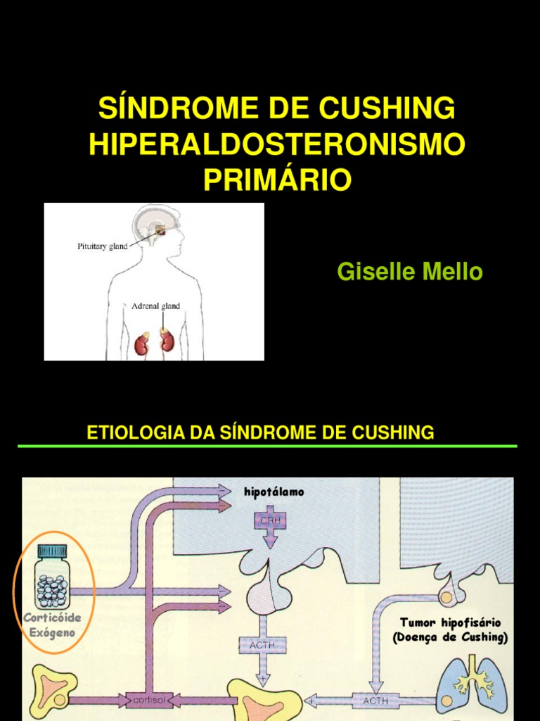 SÍNDROME DE CUSHING Kidney Endocrine System