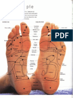 11 Mapas del Pie Reflexologia Y Digitopuntura.pdf