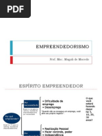 Aula 5 o Esparito Empreendedor