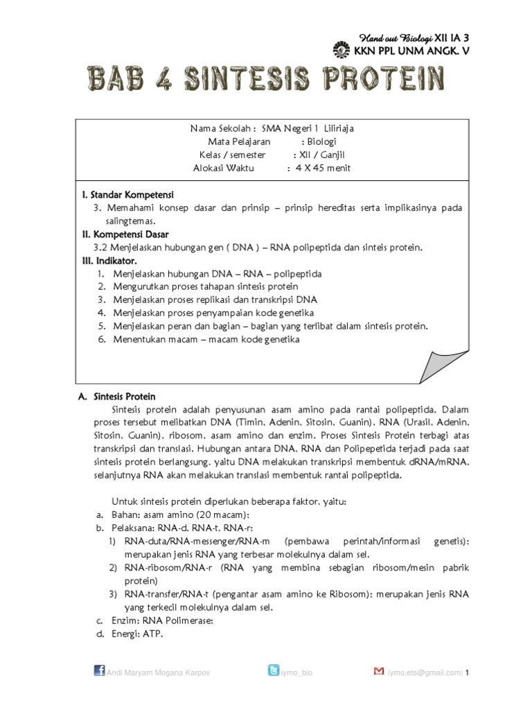 Proses Sintesis Protein Kelas 12 | PDF