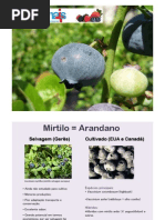 condu%C3%A7%C3%A3o_e_poda_mirtilo_-_reformulada