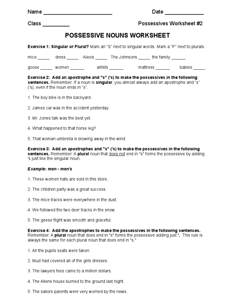 Possessive Nouns Worksheet 2 | Plural | Grammar