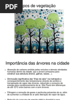 Árvores brasileiras