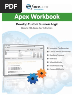 Apex Workbook