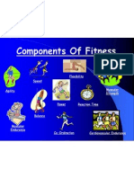 2013 Components of Fitness