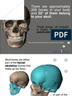 Esqueletos Da Face Mini-eBook