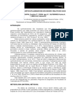 Quimiodectoma áortico-pulmonar maligno em cão Boxer