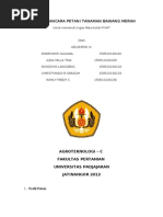 Download Hasil Wawancara Petani Tanaman Bawang Merah Lembang by Dickdoyo LankGenk W SN127260356 doc pdf