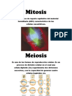 Mitosis y Meiosis