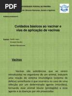 Cuidados básicos ao vacinar, vias de aplicação de vacinas