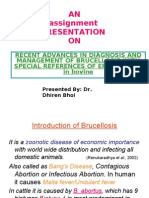 Brucellosis - Dr.dhiren Bhoi