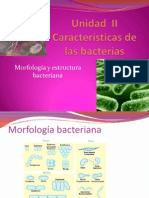 Unidad II Características de Las Bacterias