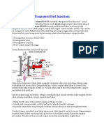 Sistem PGM Fi