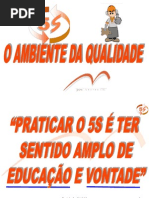 Programa Da Qualidade 5s