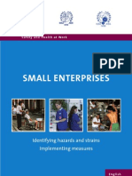 Guidelines Small Enterprises