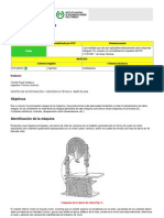 Manual de Funcionamiento Sierra Sin Fin PDF