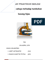 Download Laporan Praktikum Pengaruh Cahaya Terhadap Pertumbuhan Kacang Hijau by Sudi Harto SN127359467 doc pdf