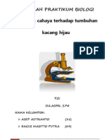 Laporan Praktikum Pengaruh Cahaya Terhadap Pertumbuhan Kacang Hijau