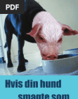 Hvis Din Hund Smagte Som... - Free download as PDF File (.pdf), Text File (.txt) or read online for free.