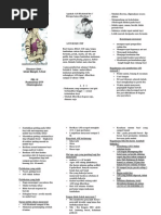 Leaflet Obat Tradisional Edit