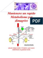 Corsa e Metabolismo