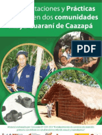 Representaciones y Practicas de Salud Indigena en dos comunidades Mbya Guarani de Caazapá.
