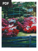 Download Pike County Azalea Festival by AThaxton SN12739787 doc pdf