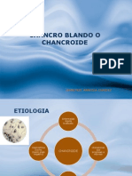 Chancro Blando o Chancroide XP