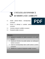 Factorii de Influenta A Mediului de Afaceri