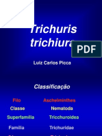 Trichuris trichiura: morfologia, ciclo de vida, diagnóstico e tratamento