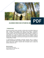 Ong Na Amazonia PDF