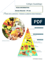 Ficha Informativa 1 - Roda Dos Alimentos e Piramide Alimentar