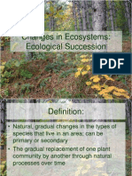 Ecological Succession