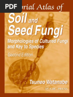 Download Guia Taxonomica by Mara Gomez SN127445859 doc pdf