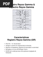 Apuntes Registro de Pozo Gamma Ray