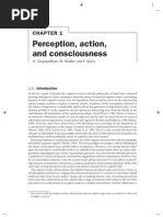 Perception Action Consciousness