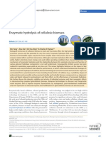 Enzymatic Hydrolysis of Cellulosic Biomass