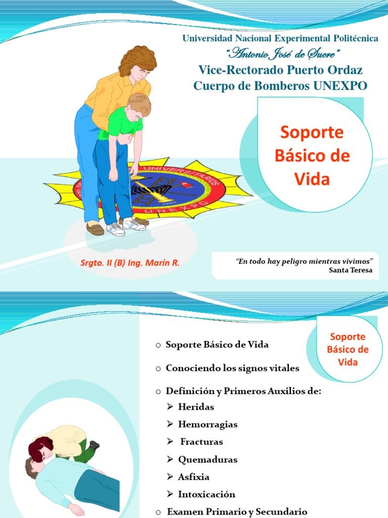 Presentacion Soporte Basico de Vida PDF