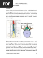 Download Fraktur Vertebra by Taufik Abidin SN12748213 doc pdf
