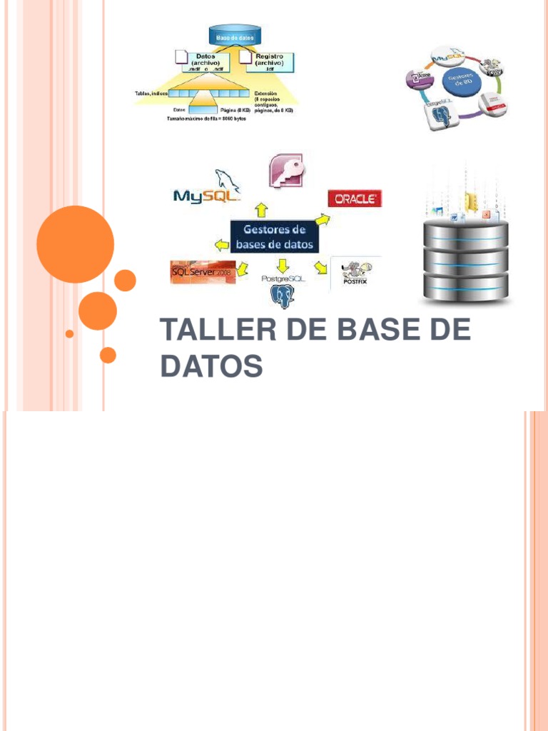 Que Es Una Base de Datos | PDF