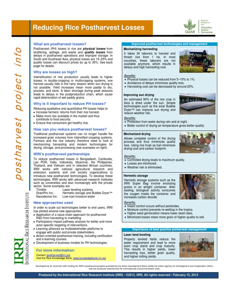 Reducing Rice Postharvest Losses Guide | PDF | Rice | International ...