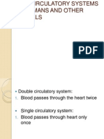 The Circulatory Systems in Humans and Other Animals