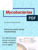 My Co Bacterias